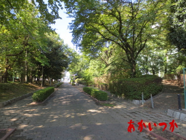 三ツ井公園4