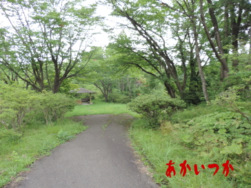 浜田森林総合公園梅林3