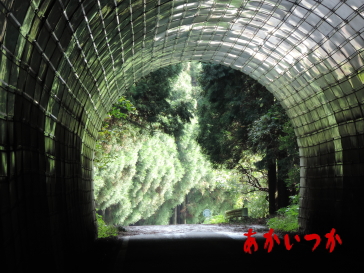 秋月隧道2