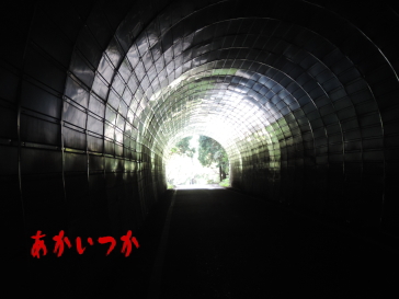 秋月隧道3