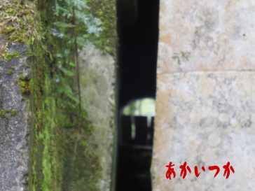 旧犬鳴トンネル2014-4
