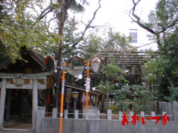 熊野道祖神社5