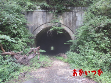 旧木の実トンネル3