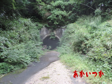 旧木の実トンネル6