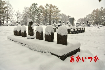 中国人墓地2