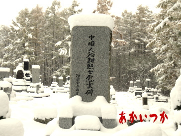 中国人墓地5