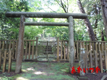 野田山墓地4
