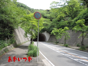 大楠トンネル（旧阿部倉トンネル）2