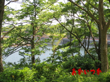 津久井湖2