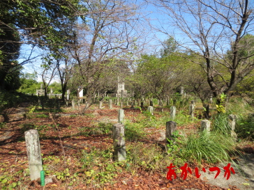 花岡山陸軍埋葬地（官軍墓地）5