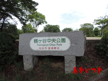 鶴ヶ谷中央公園