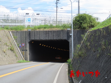 野竹トンネル4