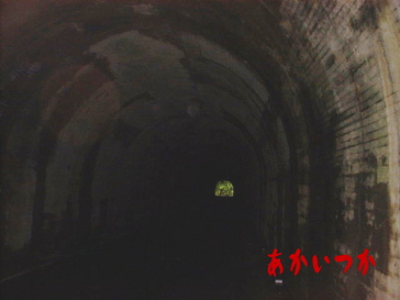 桜隧道2