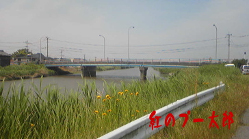 犬尾橋2