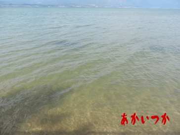 琵琶湖5
