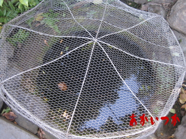 吉良上野介の首洗い井戸4