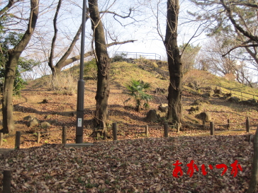 戸山公園4