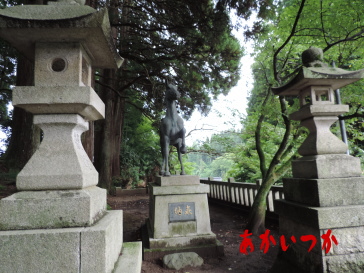 頭川神社5