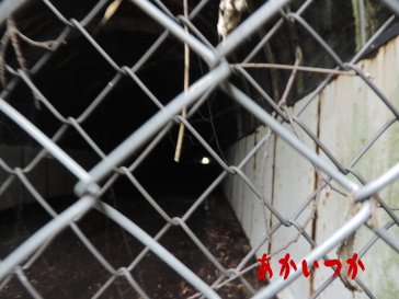 旧加茂トンネル4