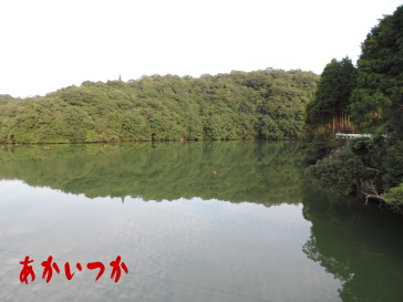 小野湖5